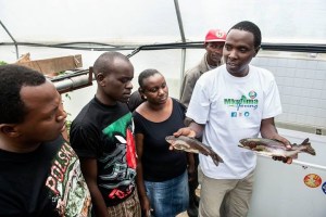 Daniel Kimani demonstrating his aquaponics to Mkulima Young champions