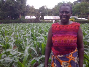 Grace Marko and her maize crop.