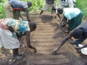 Men and women planting vegetable seeds in a nursery bed in Eastern Equatoria state, South Sudan. Credit: Charlton Doki/IPS