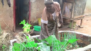 Ruth N tends to her small garden