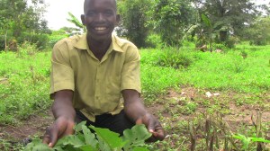 OFSP 20-year-old farmer Jaspher Okello with eggplant